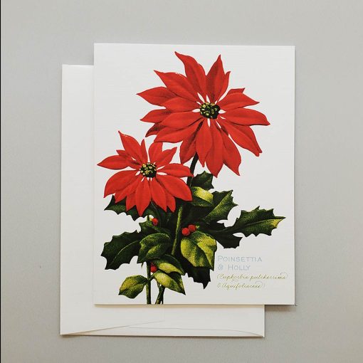 Poinsettia holiday card from Carrie Whelan Designs